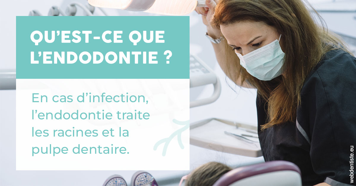 https://www.orthosante.be/2024 T1 - Endodontie 01